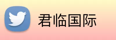 君临国际 logo